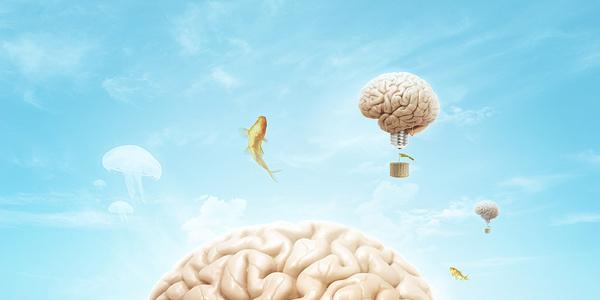 open-your-mind