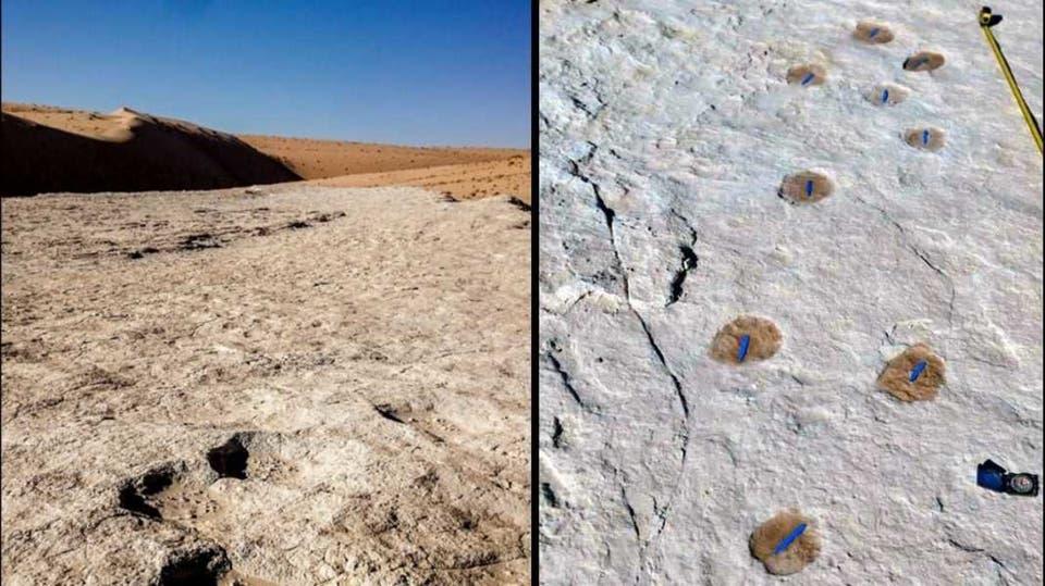 آثار أقدام متحجرة في شبه الجزيرة العربية