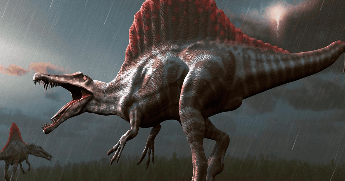 سبينوصورس ديناصور في مصر