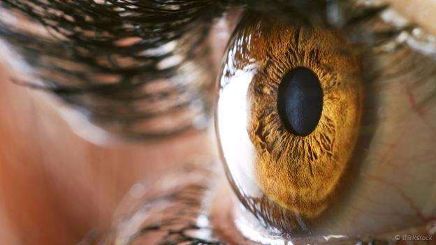 العين البشرية.. كيف تعمل، وما حدود رؤيتها البصرية؟! 2