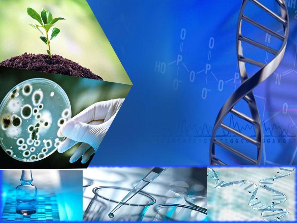 مدخلك إلى البيولوجيا والتطور: 10 دورات أونلاين مميزة في الأحياء