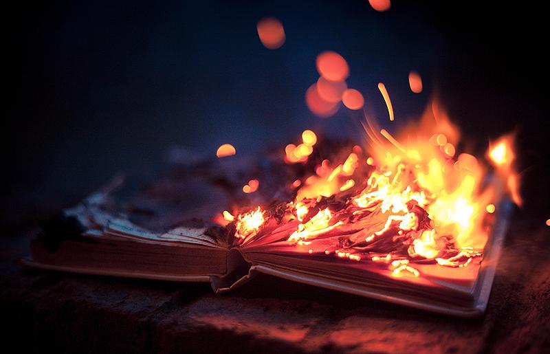 حرق كتاب انحطاط الثقافة والروايات العامية - أنواع من الكتب حصدت نوبل في السخف