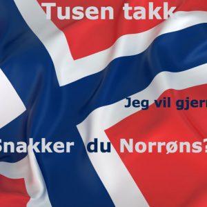 معلومات حول دراسة اللغة النرويجية في النرويج