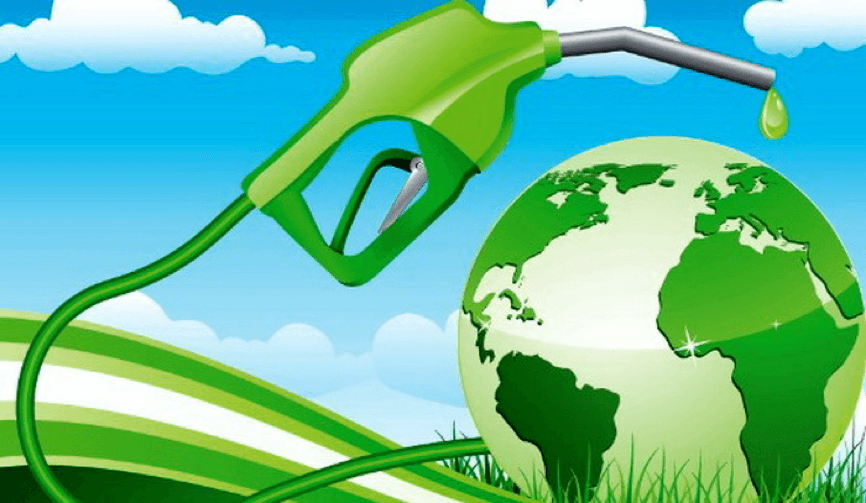 الوقود الحيوي وثورة الطاقة البديلة - إيجابيات وسلبيات 5