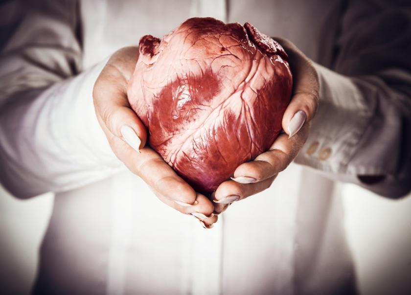 سؤال ربما لم يخطر ببالك من قبل: لماذا لا يُصاب القلب بالسرطان ؟! 1
