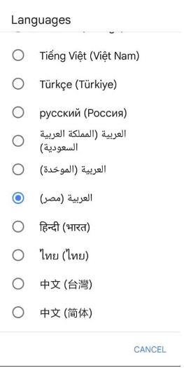 إضافة اللغة العربية إلى مساعد جوجل الصوتي