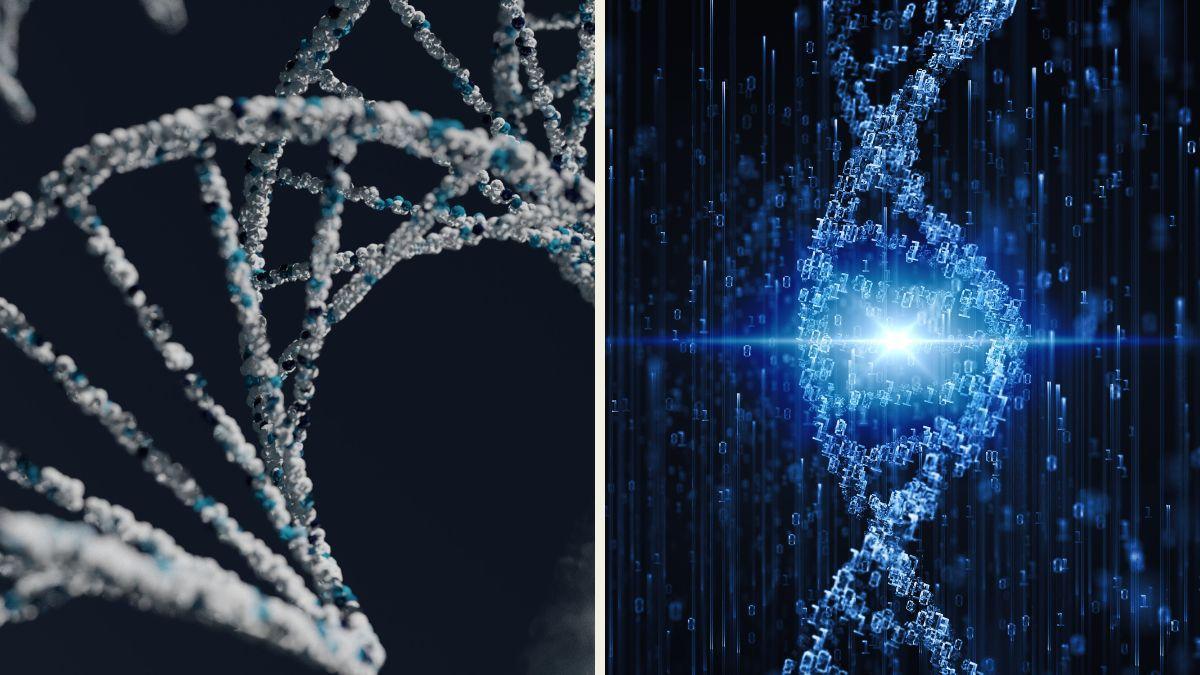 دراسة جديدة: إنتاج سلاسل الحمض النووي بدقة بواسطة الذكاء الاصطناعي