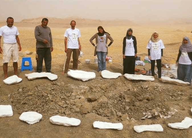 عظام منصوراصورس في الصحراء في مصر