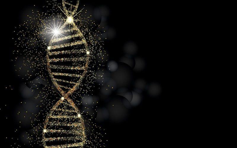 الإيبيجينوم - علم التخلّق.. ما وراء علم الجينات ! 2