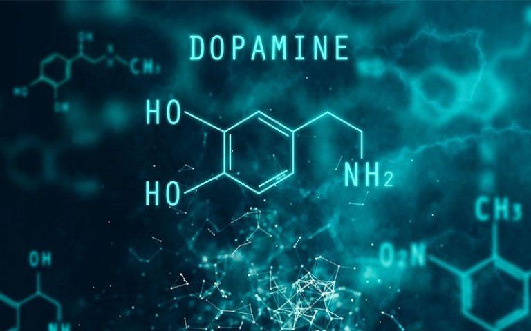10 حقائق هامة عن هرمون الدوبامين المعروف