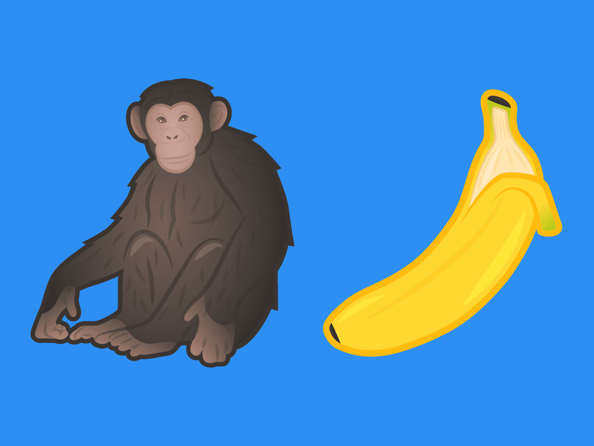 تطابق الجينات بين الانسان و القرد و الموز أيضًا