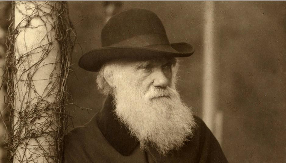 اجابات عن نظرية التطور - داروين