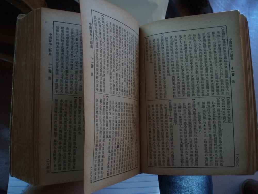 الأدب الصيني