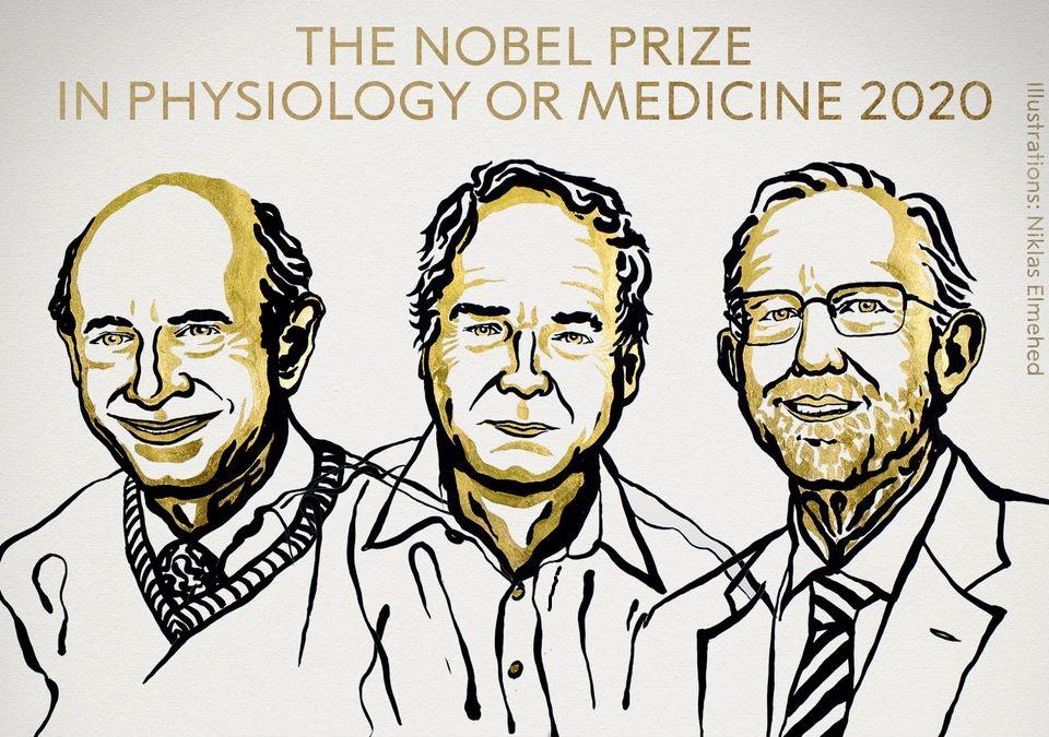 جائزة نوبل في الطب 2020
