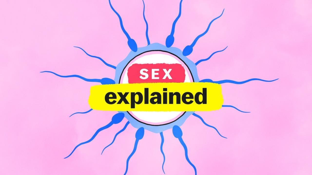 الصورة الرئيسية لمسلسلsex explained