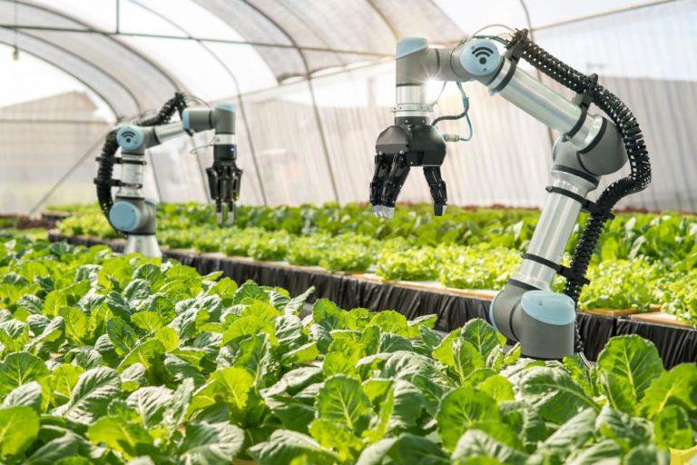 أفضل شركات عربية ناشئة في مجال التكنولوجيا 2020 - الزراعة الذكية