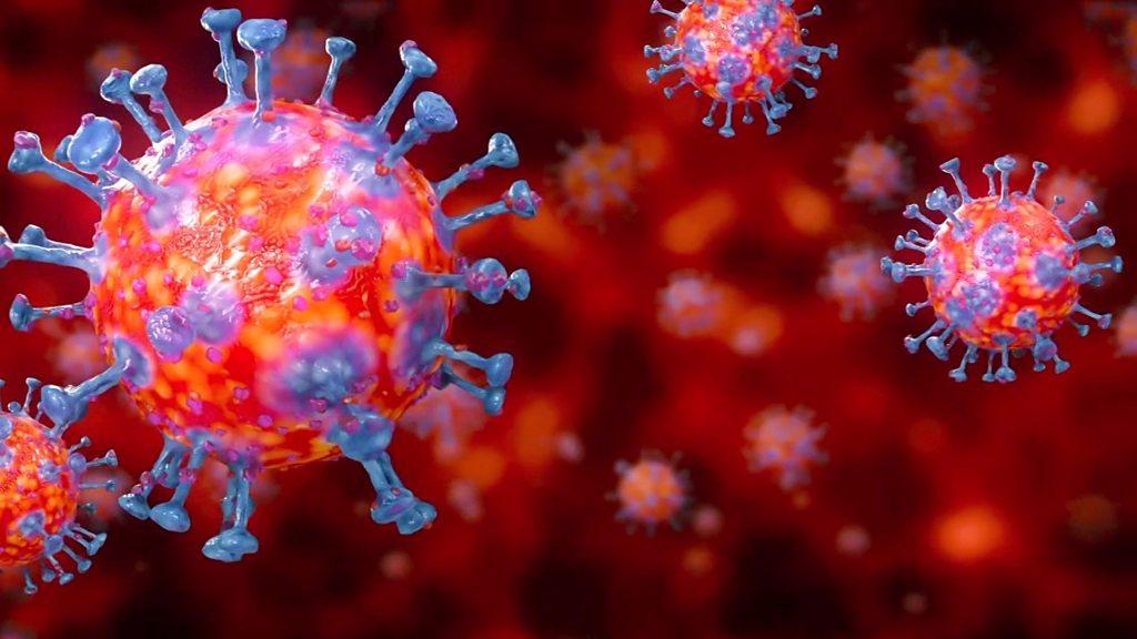 سلالة جديدة من فيروس كورونا تُكتشف في بريطانيا