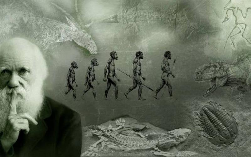 لماذا تردد داروين في طرح نظرية التطور ونشر كتاب أصل الأنواع