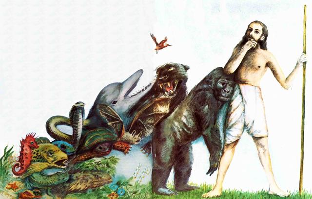 هل سبق الجاحظ وغيره من علماء المسلمين داروين إلى نظرية التطور؟