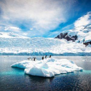 أضرار ذوبان جليد القارة القطبية الجنوبية