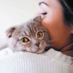 الحساسية من القطط – هل من الممكن التعايش معها