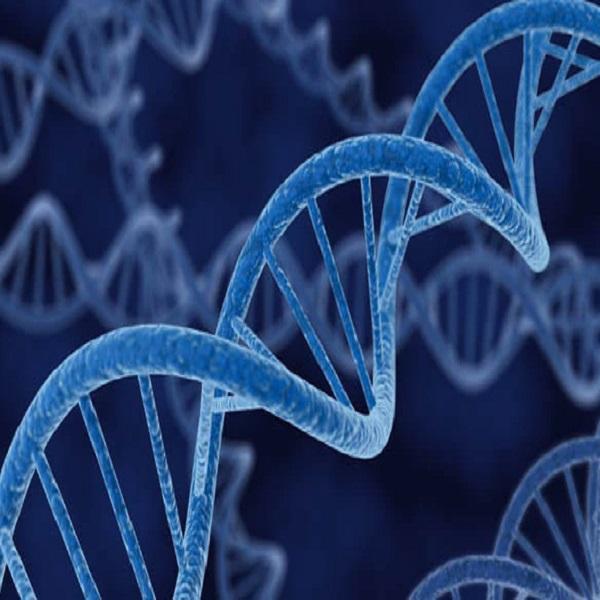الفرق بين DNA و RNA