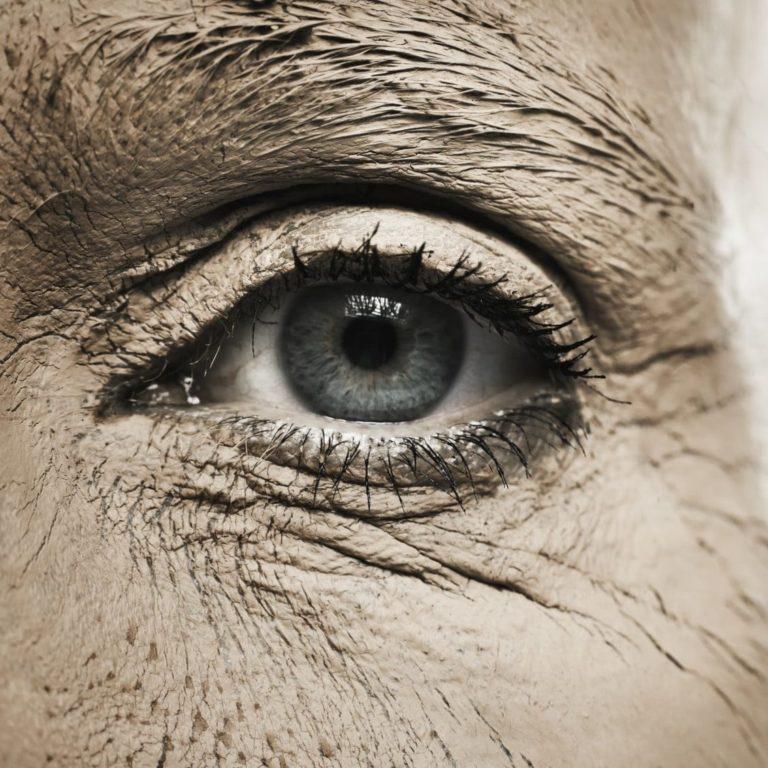 المستقبلات الحسية في الجلد و العيون