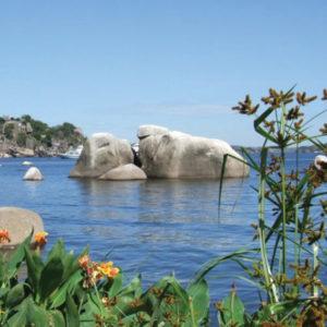 بحيرة فيكتوريا – أهميتها وموقعها