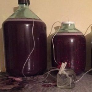 صناعة النبيذ من عصير العنب الجاهز