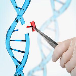 كيفية انتقال الامراض الوراثية