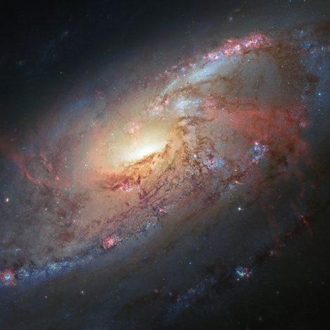 ما الفرق بين علم الفلك وعلم الكونيات