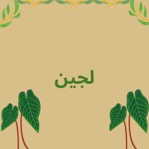 ما معنى اسم لجين في القران واللغة العربية وصفات شخصيتها
