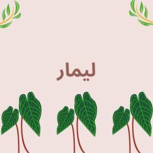 ما معنى اسم ليمار في اللغة العربية والإسلام