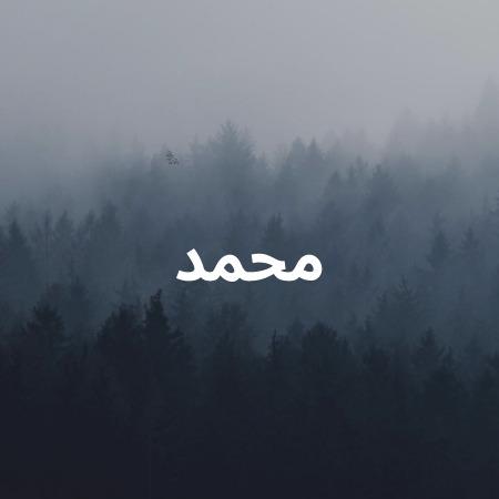 معنى اسم محمد