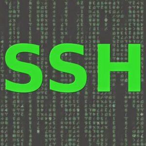 ما هو SSH