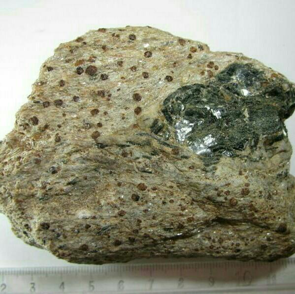 ما هي أنواع الصخور المتحولة