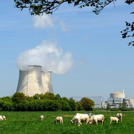 ما هي استخدامات الطاقة النووية السلمية
