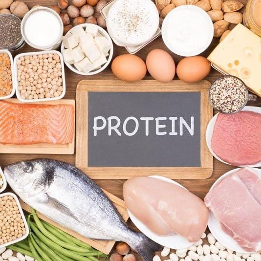ما هي البروتينات – تعرف على حاجة جسمك اليومية لها