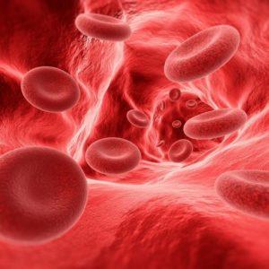 ما هي امراض الدم