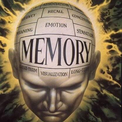 ما هي انواع الذاكرة
