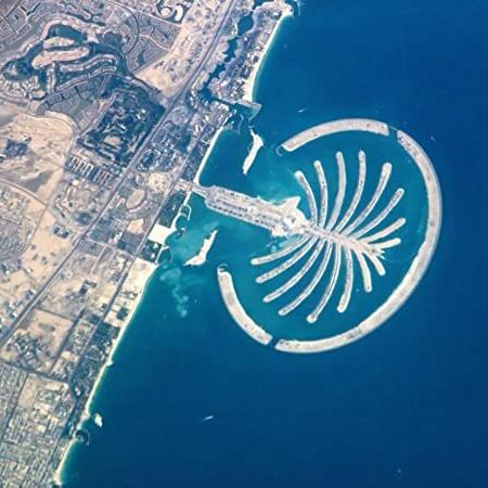 معلومات عن جزيرة النخلة في دبي