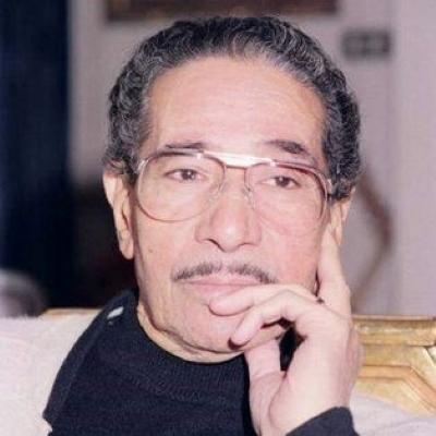 محمد أمين محمد الموجي