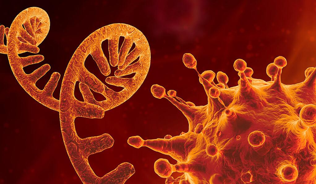 دراسة علمية تؤكد: ربما حمضك النووي يجعلك عرضة للإصابة بفيروس كورونا أكثر من غيرك!
