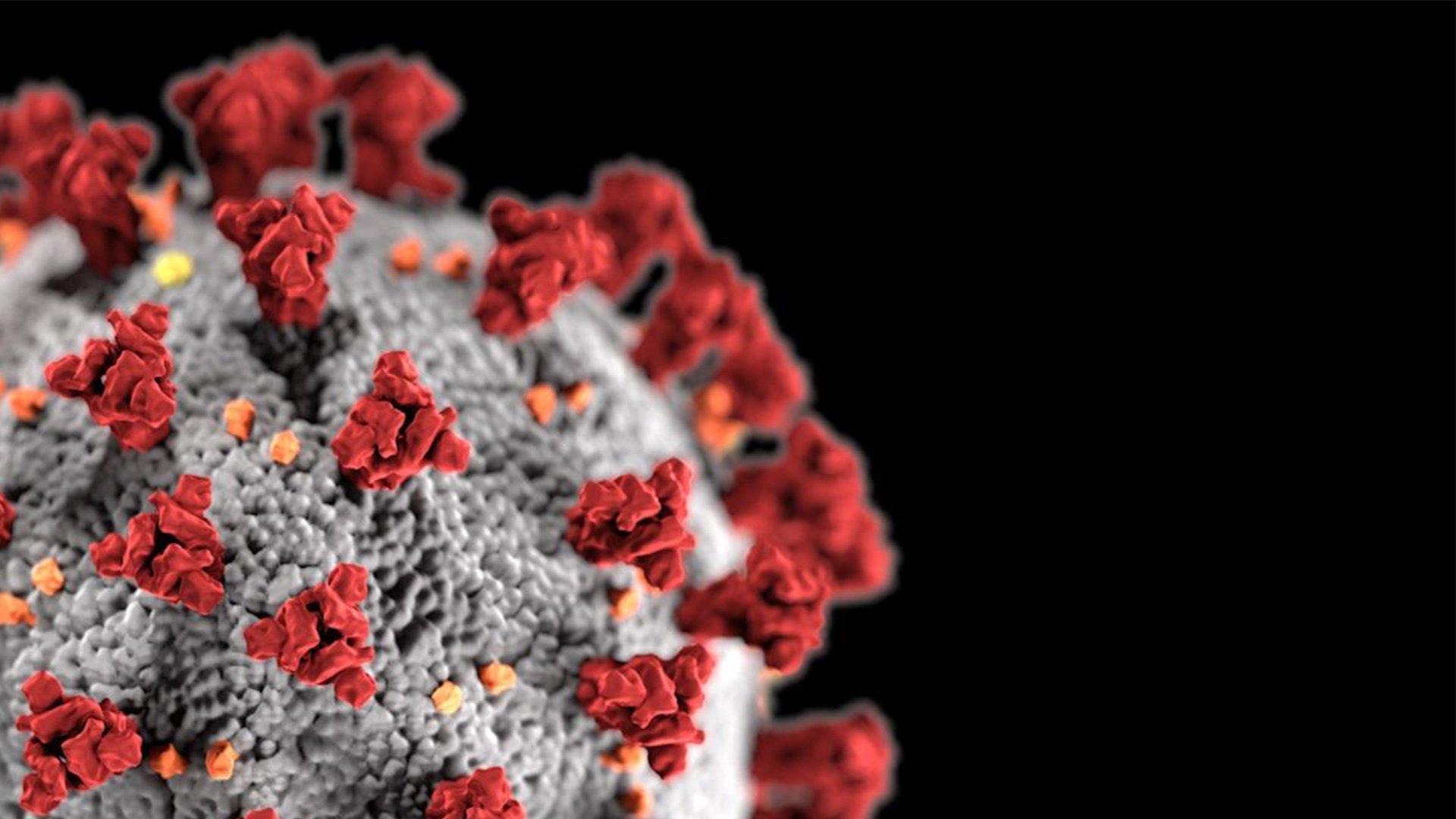 كيف تمكن العلم من تصنيع لقاحات فيروس كورونا بسرعة وفعالية هكذا؟