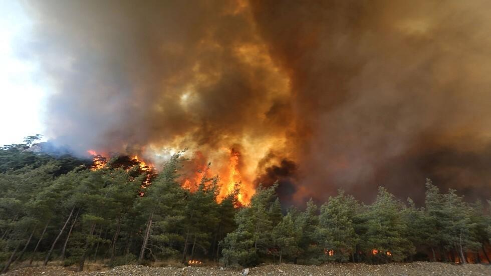حرائق الغابات - حرائق تركيا