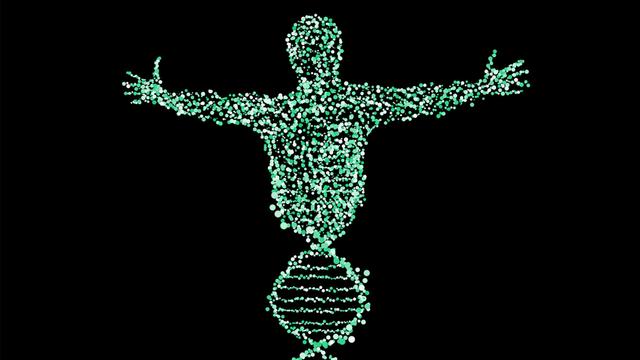 علم التخلق: معلومات من خارج الشيفرة الجينية وصفات بعيدة عن حجم الأنف والقامة قد ترثها عن أبويك!