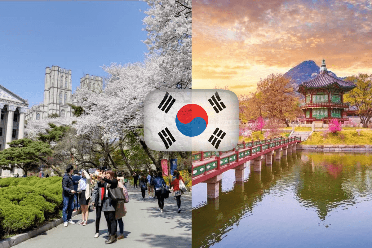 الدراسة والمعيشة في كوريا الجنوبية