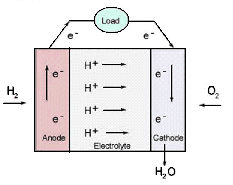 كيف تعمل الخلايا الهيدروجينية