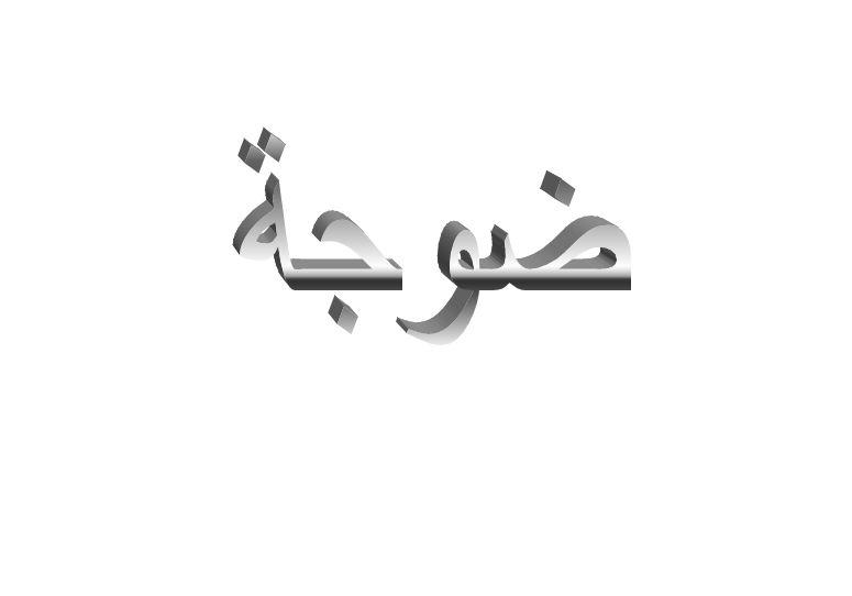 ما معنى ضوجة في اللهجة العراقية؟
