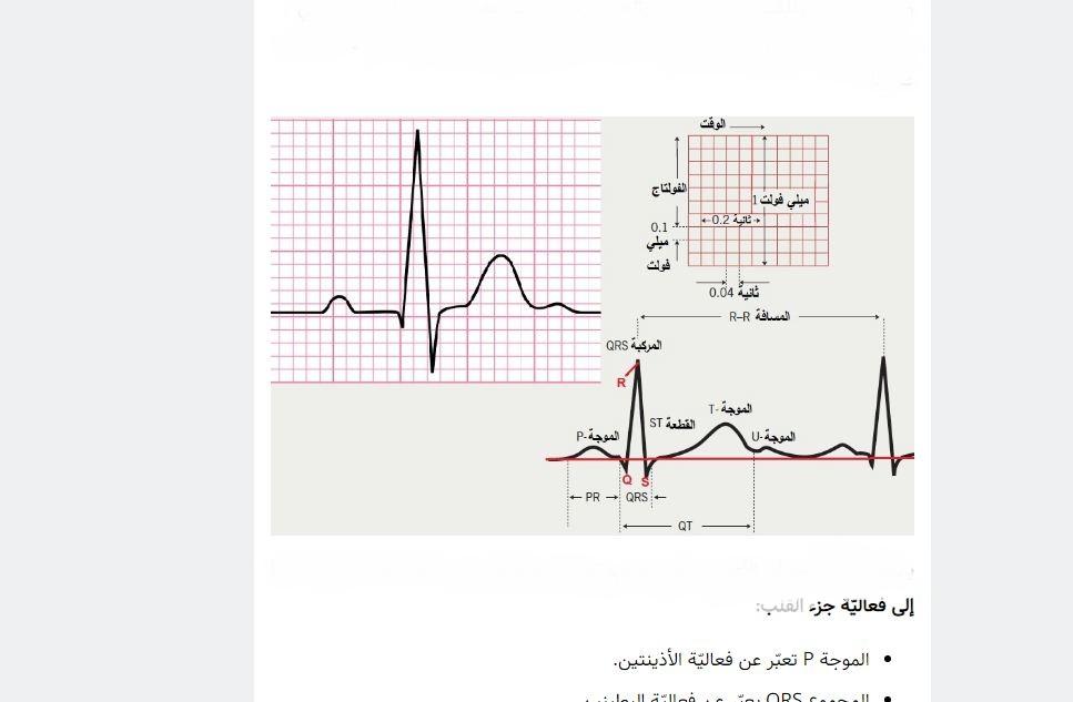 كيف تقرأ رسم تخطيط القلب؟